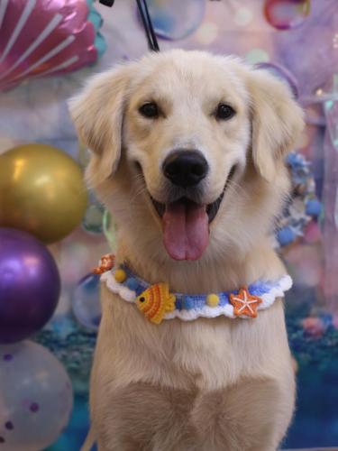 20240823レオくん